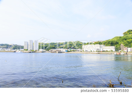 Uraga (early summer) Uraga (early summer) 53595880