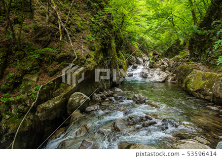 Fresh green nishizawa valley frog rock Fresh green nishizawa valley frog rock 53596414
