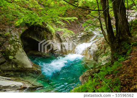 Fresh green Nishizawa Valley 53596562