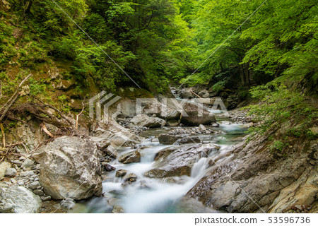 Fresh green Nishizawa valley 53596736