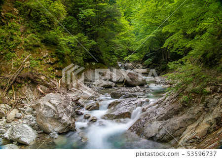 Fresh green Nishizawa valley 53596737