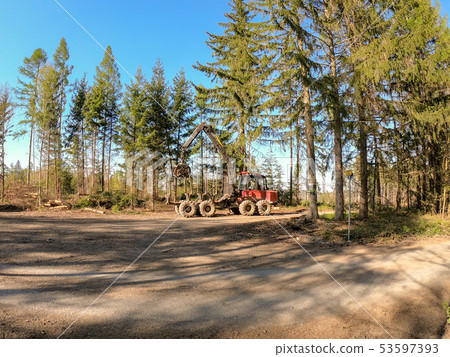 woodworking in the forest. cleaning fallen trees after a strong wind. heavy technique working in the woodworking in the forest. cleaning fallen trees after a strong wind. heavy technique working in the 53597393