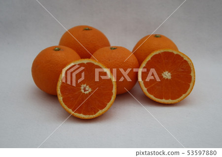 Tangor Tangor 53597880