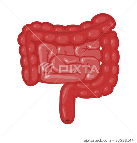 Vector illustration of anatomy and organ symbol. Set of anatomy and medical stock vector 53598144