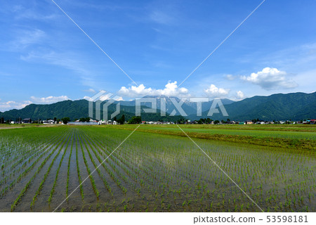 Hakai Mt. 2019年6月2日(種植水稻後的風景) Hakai Mt. 2019年6月2日(種植水稻後的風景) 53598181