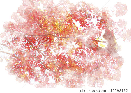 秋天楓葉水彩風格 53598182