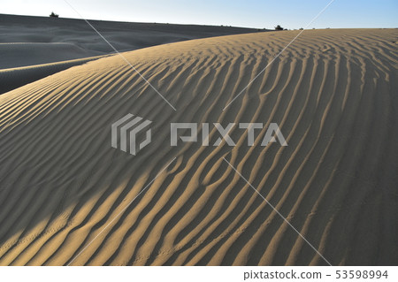 美麗的沙丘和日出在Jaisalmer Coulee村莊在拉賈斯坦,印度 美麗的沙丘和日出在Jaisalmer Coulee村莊在拉賈斯坦,印度 53598994