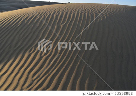 美麗的沙丘和日出在Jaisalmer Coulee村莊在拉賈斯坦,印度 美麗的沙丘和日出在Jaisalmer Coulee村莊在拉賈斯坦,印度 53598998
