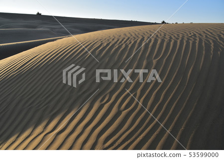 美麗的沙丘和日出在Jaisalmer Coulee村莊在拉賈斯坦,印度 美麗的沙丘和日出在Jaisalmer Coulee村莊在拉賈斯坦,印度 53599000