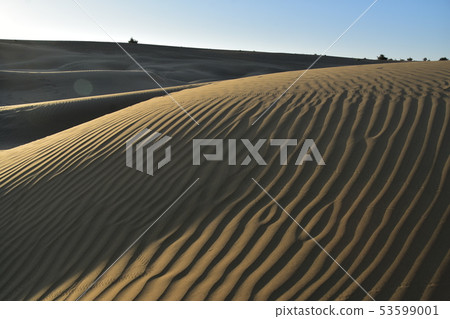 美麗的沙丘和日出在Jaisalmer Coulee村莊在拉賈斯坦,印度 美麗的沙丘和日出在Jaisalmer Coulee村莊在拉賈斯坦,印度 53599001