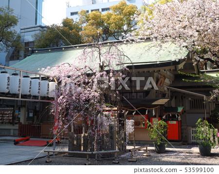 大阪Tenden神社 大阪Tenden神社 53599100