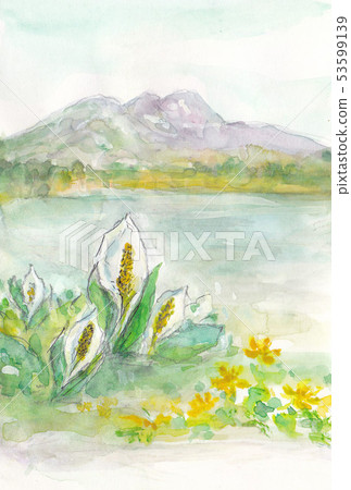 尾瀨國家公園亞洲臭鼬和 Ryukinka 風景 53599139