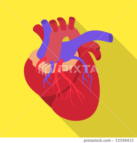 Vector illustration of human and health sign. Collection of human and scientific vector icon for 53599415