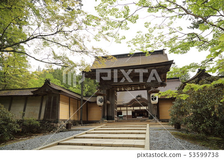 Kongomineji Temple Koyasan Shingonshu Sohonzan-World Heritage [Major] 53599738