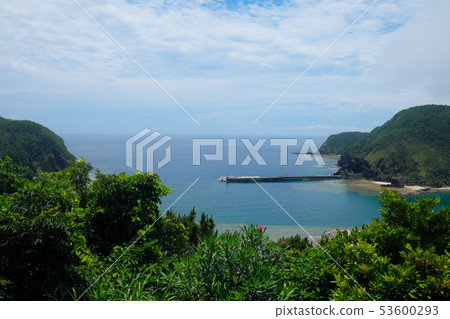 Tokashiki海島除植物和植物外 Tokashiki海島除植物和植物外 53600293