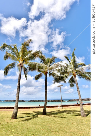 Holidays in Hawaii 53600417