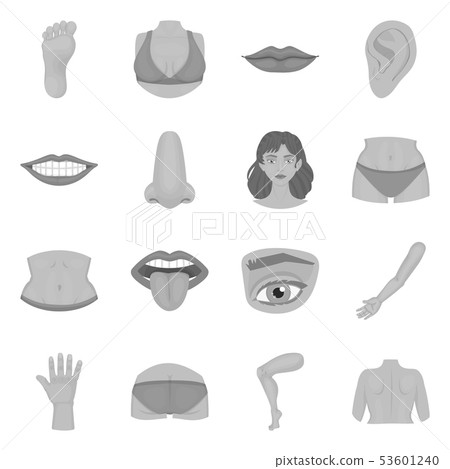 Isolated object of body and part logo. Collection of body and anatomy vector icon for stock. Isolated object of body and part logo. Collection of body and anatomy vector icon for stock. 53601240