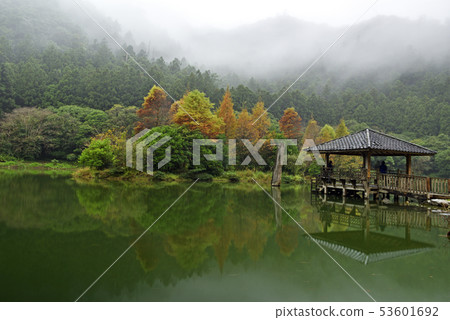 高山湖泊,水,明池森林遊樂區,明池,森林,霧,宜蘭縣,大同鄉,秋天,涼亭 53601692