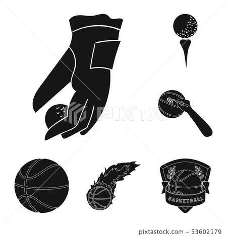 Vector illustration of ball and soccer symbol. Set of ball and basketball stock symbol for web. Vector illustration of ball and soccer symbol. Set of ball and basketball stock symbol for web. 53602179