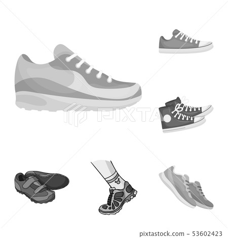 Isolated object of shoe and sport icon. Set of shoe and fitness stock vector illustration. 53602423