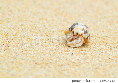 Miyakojima okayadokari Miyakojima okayadokari 53602548