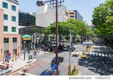 新鮮的綠色表參道原兩個街道 新鮮的綠色表參道原兩個街道 53602872