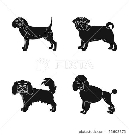 Vector design of cute and logo. Set of cute and vector icon for stock. Vector design of cute and logo. Set of cute and vector icon for stock. 53602873