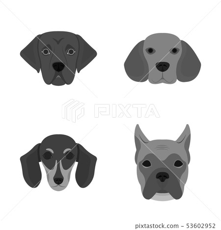 Isolated object of cute and puppy sign. Set of cute and animal stock symbol for web. Isolated object of cute and puppy sign. Set of cute and animal stock symbol for web. 53602952
