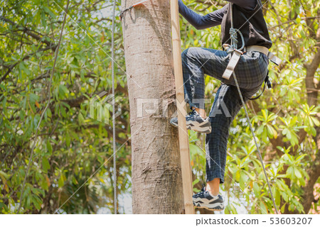 Little brave caucasian child at outdoor treetop 53603207