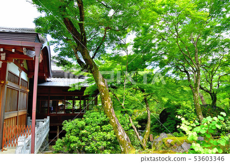 京都Arashiyama Hogunin新綠色 53603346