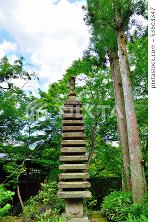 京都Arashiyama Hogunin新綠色 53603347