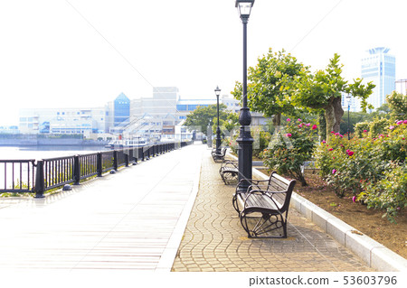 Verny Park(初夏) Verny Park(初夏) 53603796