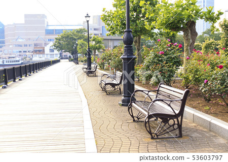 Verny Park(初夏) Verny Park(初夏) 53603797