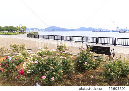 Verny Park(初夏) Verny Park(初夏) 53603801