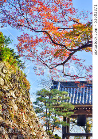 吉峰-DERA 53603871