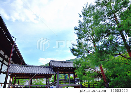京都嵐山Tenryu-ji寺的新鮮綠色 京都嵐山Tenryu-ji寺的新鮮綠色 53603933