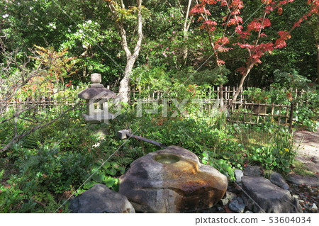 世博紀念公園〜潘吉·大秋葉 53604034