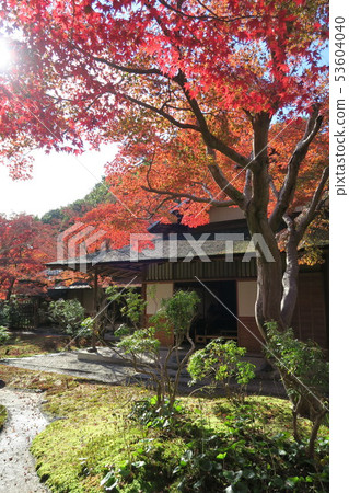 世博紀念公園〜潘吉·大秋葉 53604040