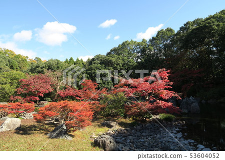 世博會紀念公園 - 日本花園的秋葉 -  53604052