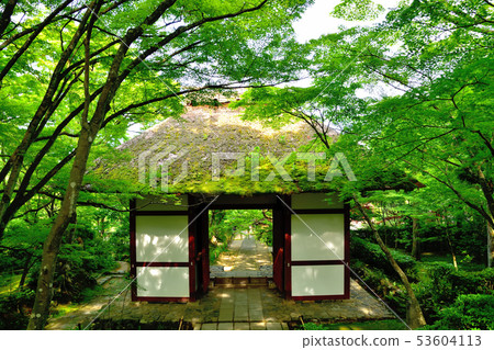 青森寺在京都嵐山 53604113