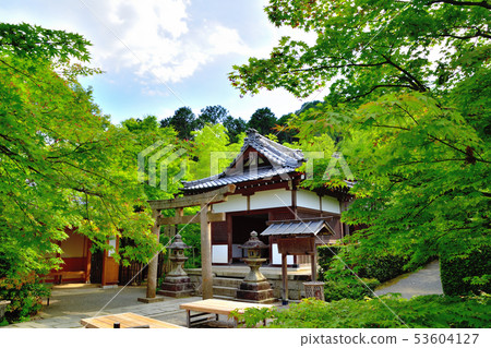 Aomori-ji Temple in Kyoto Arashiyama 53604127