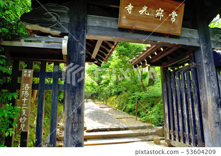 青森寺在京都嵐山 53604209