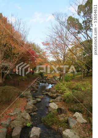 世博會紀念公園 - 自然文化園的秋葉 - 世博會紀念公園 - 自然文化園的秋葉 - 53604611