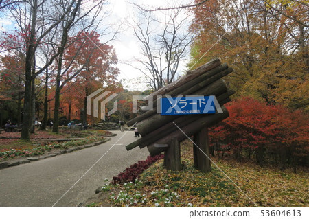 世博會紀念公園 -  Solardo的秋葉 -  53604613