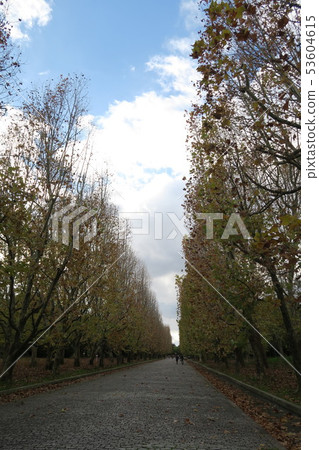 世博會紀念公園 - 西尾寺路的秋葉 世博會紀念公園 - 西尾寺路的秋葉 53604615