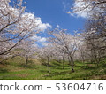 Kirin water source forest 53604716