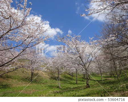 Kirin water source forest Kirin water source forest 53604716