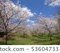 Kirin water source forest 53604733