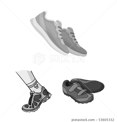 Vector design of shoe and sport icon. Collection of shoe and fitness vector icon for stock. 53605332