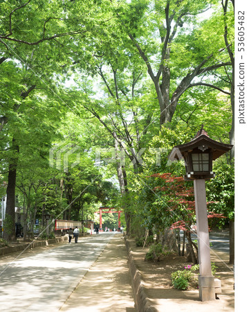 Approach to Musashi Ichinomiya Hikawa Shrine in Saitama Prefecture Approach to Musashi Ichinomiya Hikawa Shrine in Saitama Prefecture 53605482
